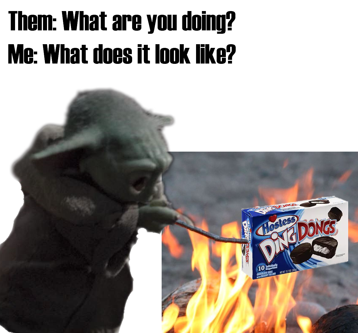 The meme is an image of the character Baby Yoda from the Star Wars series, holding a stick with a box of Hostess Ding Dongs in the flames of a campfire. The text "Them: What are you doing? Me: What does it look like?" is overlaid on the image, referencing a common meme format where someone is asked to explain their actions and responds with a humorous or sarcastic answer.